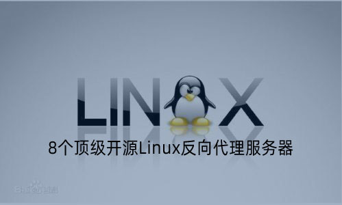 8大頂級開源Linux反向代理服務(wù)器推薦 - 小浪云數(shù)據(jù)
