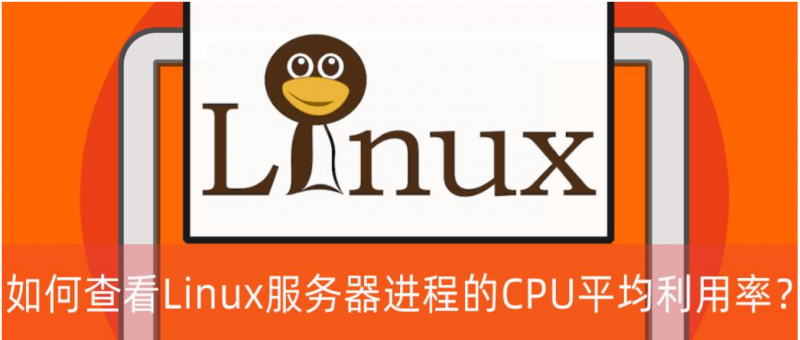查看Linux服務(wù)器進(jìn)程的CPU平均利用率？